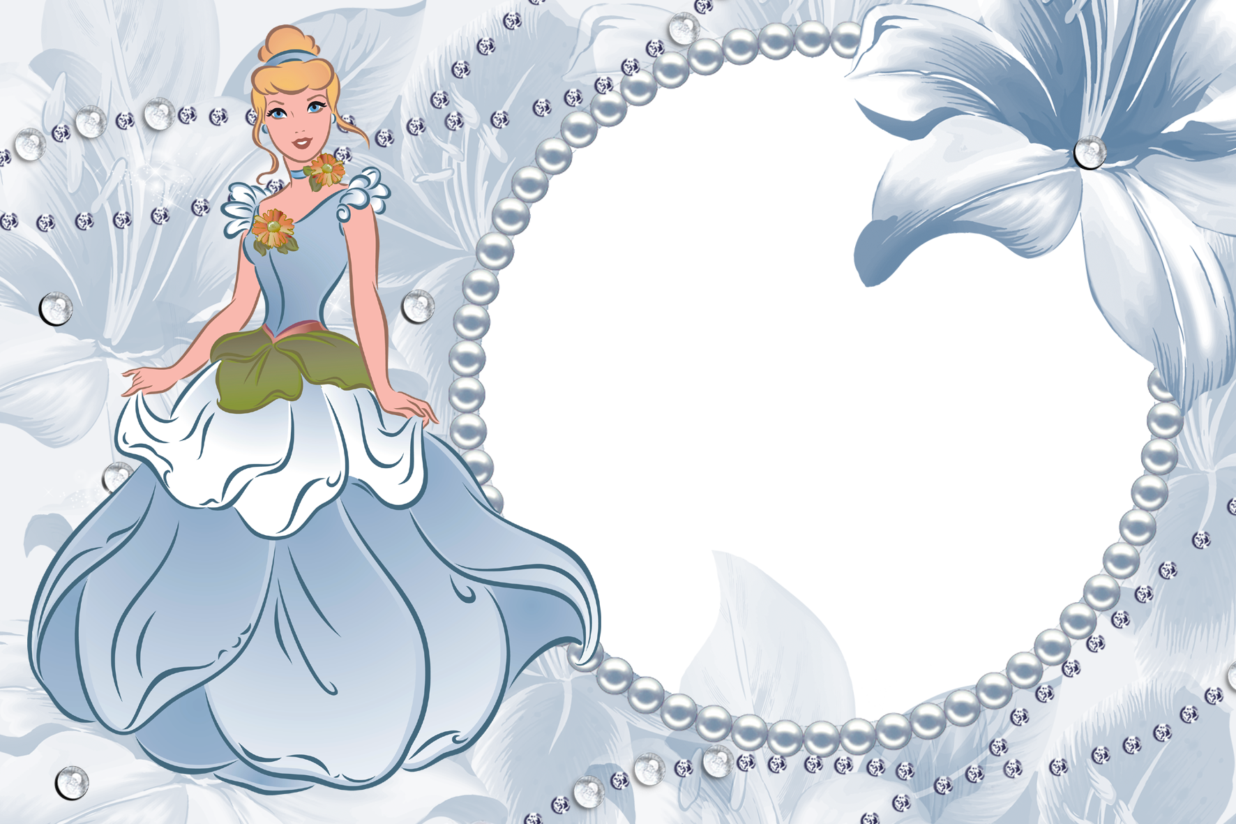 princesse cendrillon